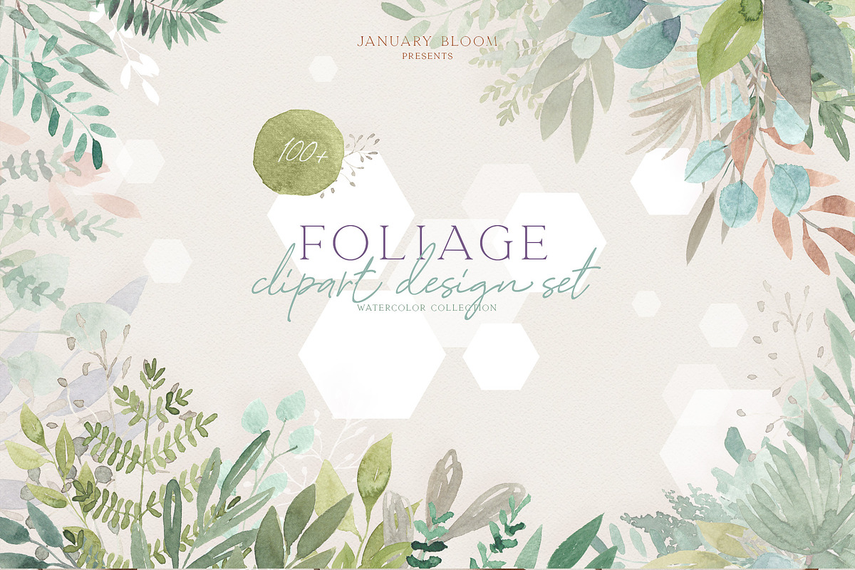 Handmade Foliage watercolour herbs, an Illustration by January Bloom (Photo 1 of 13)