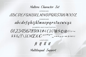 Maltera - Unique Serif