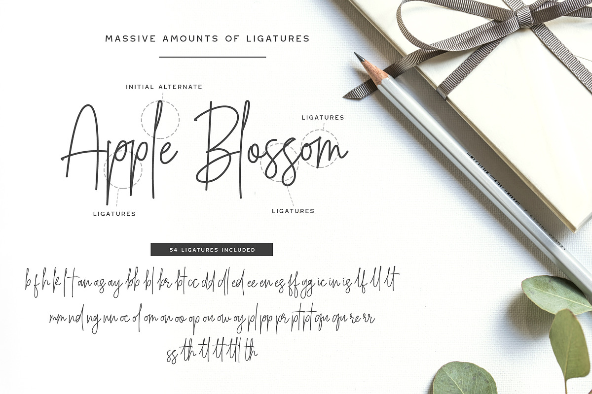Belmont Script - 54 Ligatures! preview 3