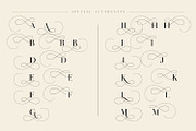 Lostgun Plus | Stylish Typeface, a Serif Font by Qaratype (Thumbnail 18 of 20)