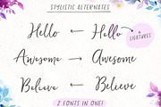 Ditto Font + Swashes, a Handwritten Font by Angie Makes (Thumbnail 7 of 11)