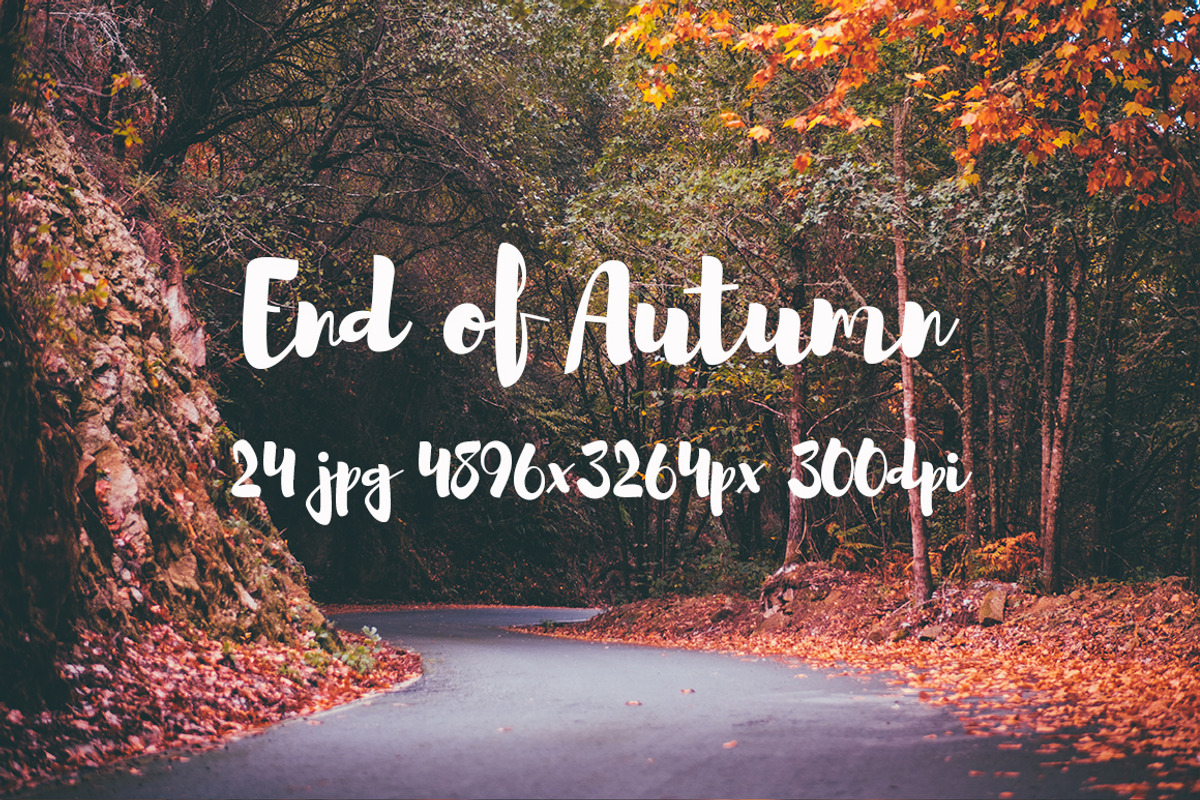 End of Autumn photo pack, a Templates & Theme by ApertureVintage (Photo 5 of 14)
