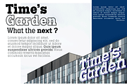 Codename FX, a Slab Serif Font by Differentialtype (Thumbnail 7 of 10)