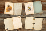 Vintage bee junk journal pages,, a Decorative Illustration by Shabbypaperboutique (Thumbnail 3 of 5)