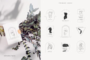 Antiquity collection, a Decorative Illustration by Merfin (Thumbnail 4 of 8)