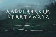 Mountis - Brush Font, a Font by Salamahtype (Thumbnail 8 of 10)