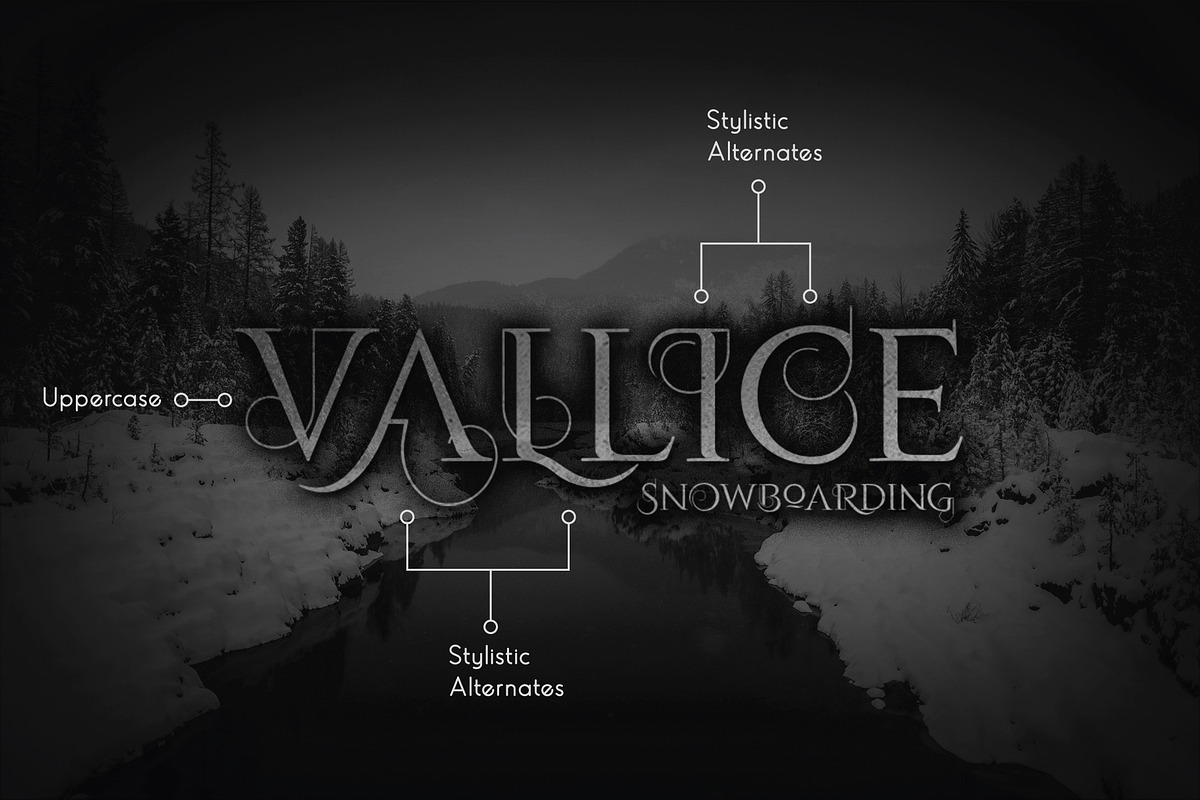 Volloa Decorative Typeface, a Serif Font by Vacatype Co. (Photo 5 of 5)