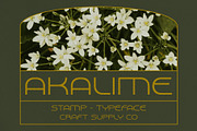 Akalime Stamp, a Sans Serif Font by Craft Supply Co. (Thumbnail 1 of 8)