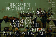 ABSINTIO - Stylish Classic Typeface, a Serif Font by One Pillar Studio (Thumbnail 7 of 8)