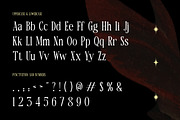 Amoura Camorin Decorative Serif Font, a Serif Font by Rasio Studio (Thumbnail 2 of 7)