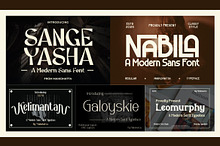 Elegant Beauty Font Bundle