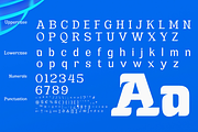 Euraliax - Display Font Family, a Font by Differentialtype (Thumbnail 11 of 12)