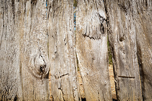 Old Wooden Fence, a Background Photo by THP Creative