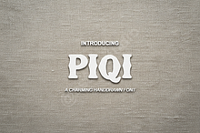 Piqi - Elegant Modern Serif Typeface