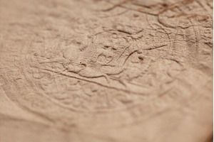 Detailed shot highlighting the, a Background Photo by Rohan Photography