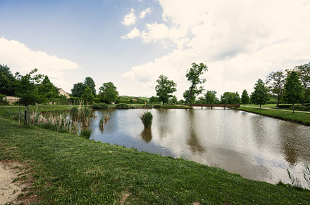 Pond in Panska Garden under the castle Kunstat in Moravia, Czech, a Background Photo by AS photostudio