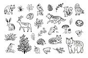 Woodland Alphabet, an Animal Illustration by GooseFrol (Thumbnail 4 of 10)