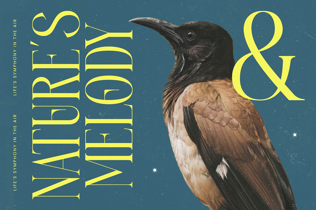Heroic Brutal Bold Tall Serif, a Serif Font by timelesstype.co (Photo 6 of 20)