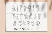 Botanical hand - drawn line art, an Illustration by velychko.ua (Thumbnail 5 of 6)