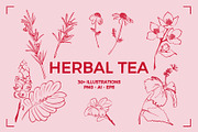 HERBAL TEA (30+ ILLUSTRATIONS), a Food Illustration by Bonfloret Studio (Thumbnail 1 of 10)