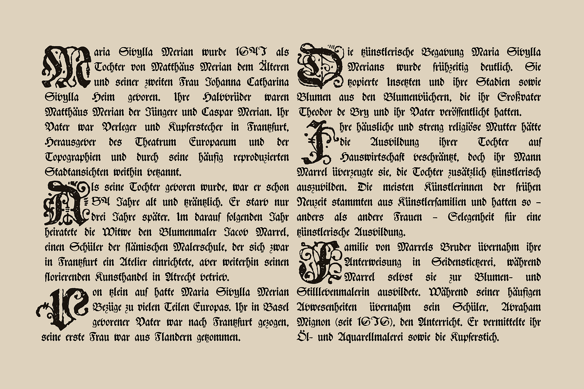 Blumen blackletter font family, a Blackletter Font by kaer_shop (Photo 7 of 8)