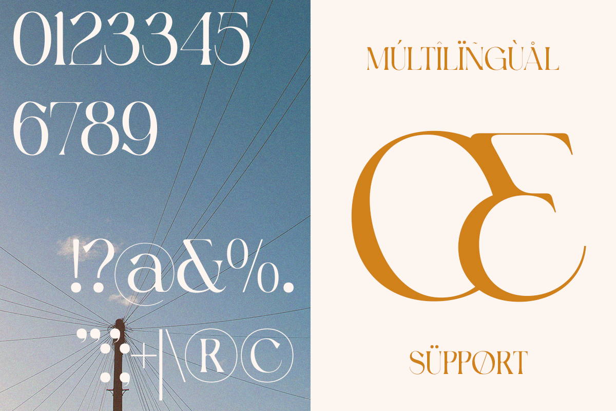 Bigpen - Elegant Modern Swash Serif, a Serif Font by Qweera Studio (Photo 6 of 12)