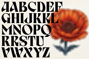 Birvase Display Font, a Serif Font by Bagerich Type Foundry (Thumbnail 2 of 12)