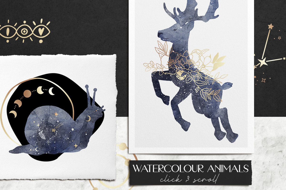 Deep Blue Magic, an Animal Illustration by Kate Art (Photo 3 of 15)