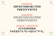 BRADWICK - Vintage Font, a Serif Font by tokokoo (Thumbnail 2 of 11)