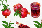 Pomegranate PNG, fruit clip art,, a Graphic by NickMitrushov (Thumbnail 2 of 7)
