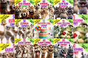Whole Shop 4K Clipart Bundle, an Object Graphic by M9 Design (Thumbnail 3 of 9)