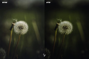 Cinematic Greens Lightroom Presets, a Preset Add-On by CVR Presets (Thumbnail 5 of 6)