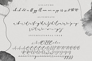 Aurelye Modern Calligraphy, a Script Font by Creatype Studio (Thumbnail 9 of 9)