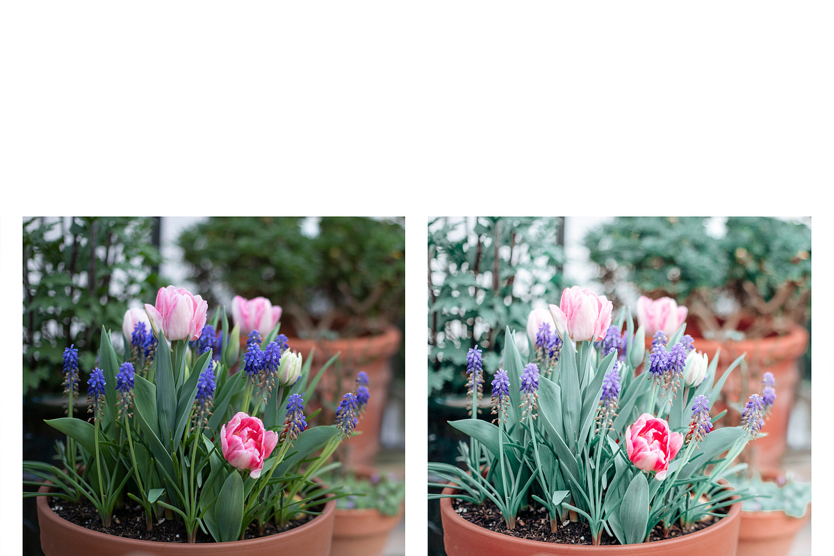 10 Spring Time Lightroom Presets, a Preset Add-On by MockTurtleStudio (Photo 5 of 9)