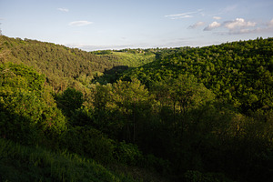 Scenic valley view with lush green forests under a bright sky, a Photo by AS photostudio