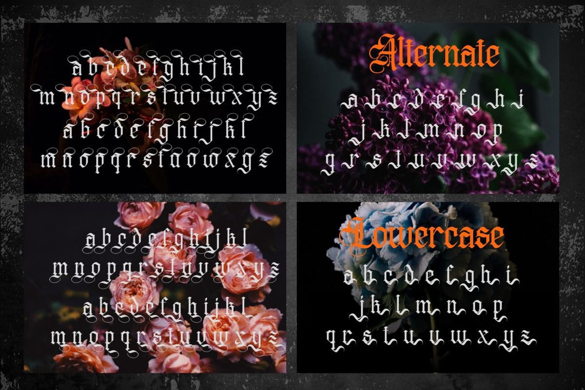 Distropiax - Modern Blackletter Font, a Blackletter Font by Dhabee (Photo 12 of 15)