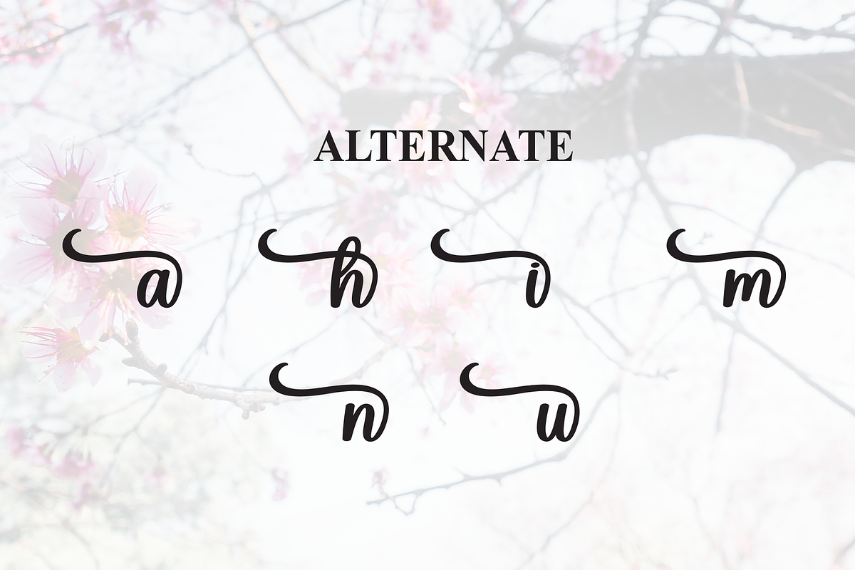 Saga | Script Font, a Handwritten Font by Scratchones (Photo 8 of 9)