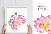 Watercolor lotus flower clipart, an Illustration by OlDm_Shop (Thumbnail 5 of 10)