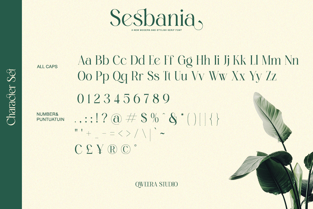 Sesbania - Modern Minimal Branding, a Serif Font by Qweera Studio (Photo 12 of 12)