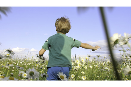 Rear view of boy running in field, a Person Photo by Media Whale Stock