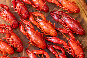 Top down boiled crawfish, a Food & Drink Photo by Alexander Prokopenko