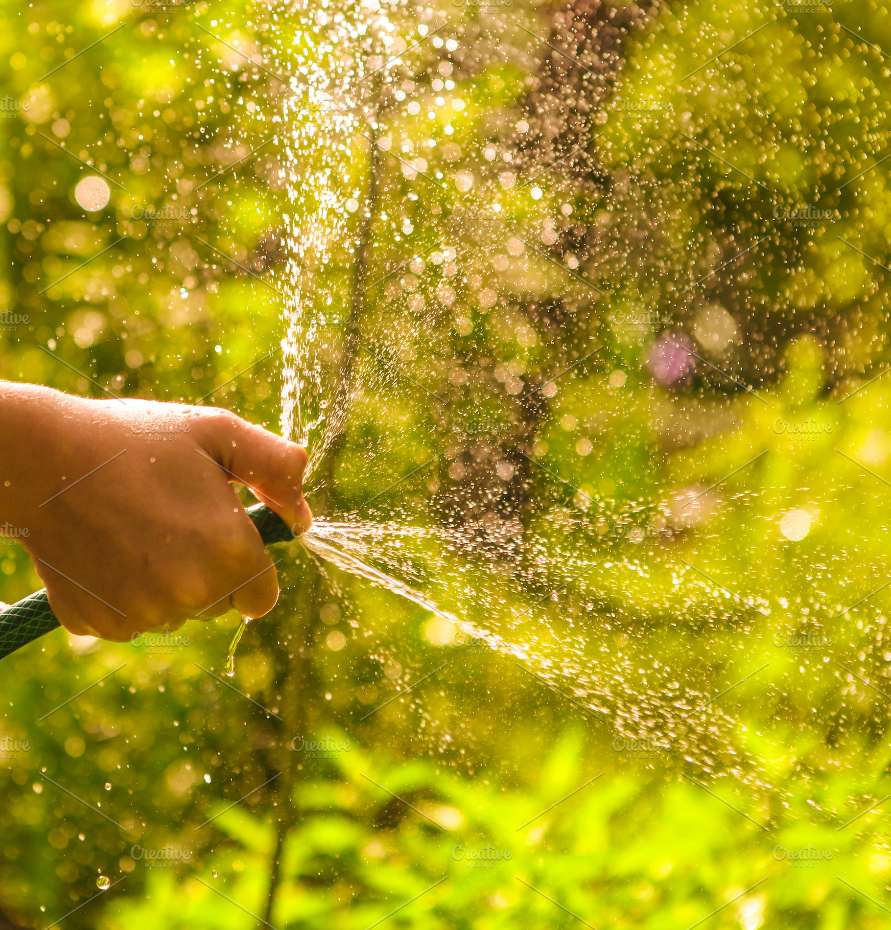 Kid hands hold hose with squirting stock photo containing wet and water, a Nature Photo by Famapictura