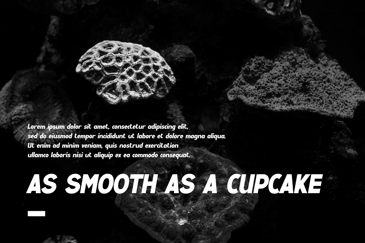 Menihime Italic, a Sans Serif Font by lelevien (Photo 2 of 4)