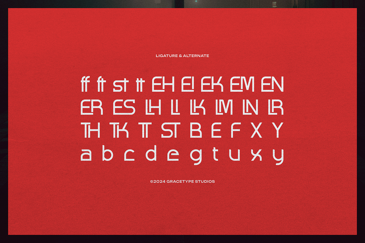 Fingard | Display Sans Serif, a Sans Serif Font by gracetype_studio (Photo 11 of 12)