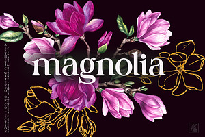 Magnolia PNG Watercolor Flowers