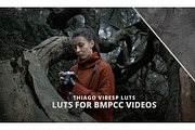 BMPCC LUTs + Ebook+ Website Template, a Preset Add-On by Creative House (Thumbnail 2 of 7)