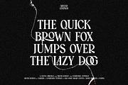 Silver Linings | Vintage Condensed, a Serif Font by ClevUs (Thumbnail 10 of 12)