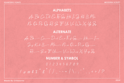 Seantero | Modern Script Font, a Script Font by filosovis (Thumbnail 2 of 5)