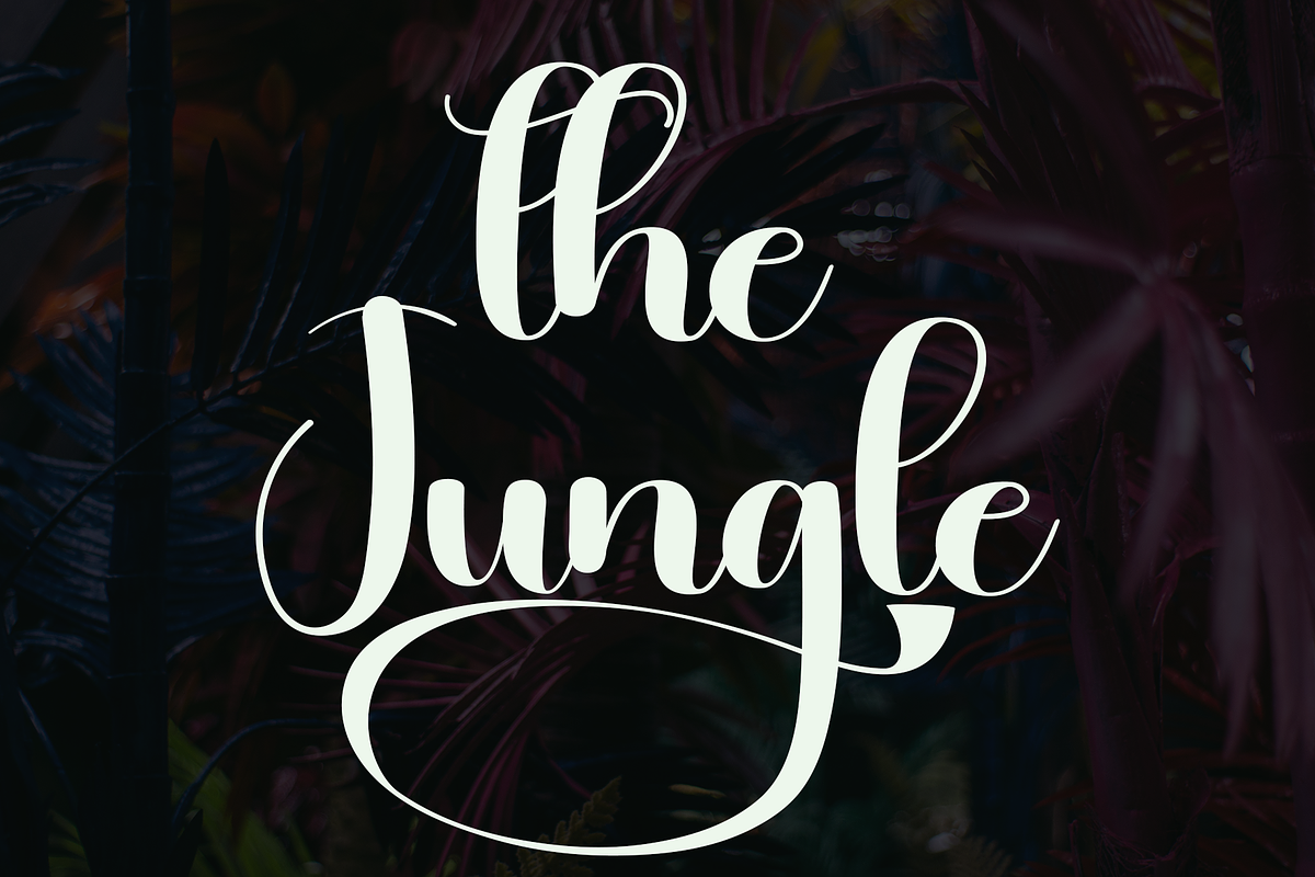 Jungle, a Handwritten Font by InermediaSTUDIO (Photo 7 of 8)