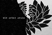 53 Chrysanthemums Stamp Brushes, a Brush Add-On by TheWhiteCatLab (Thumbnail 2 of 4)